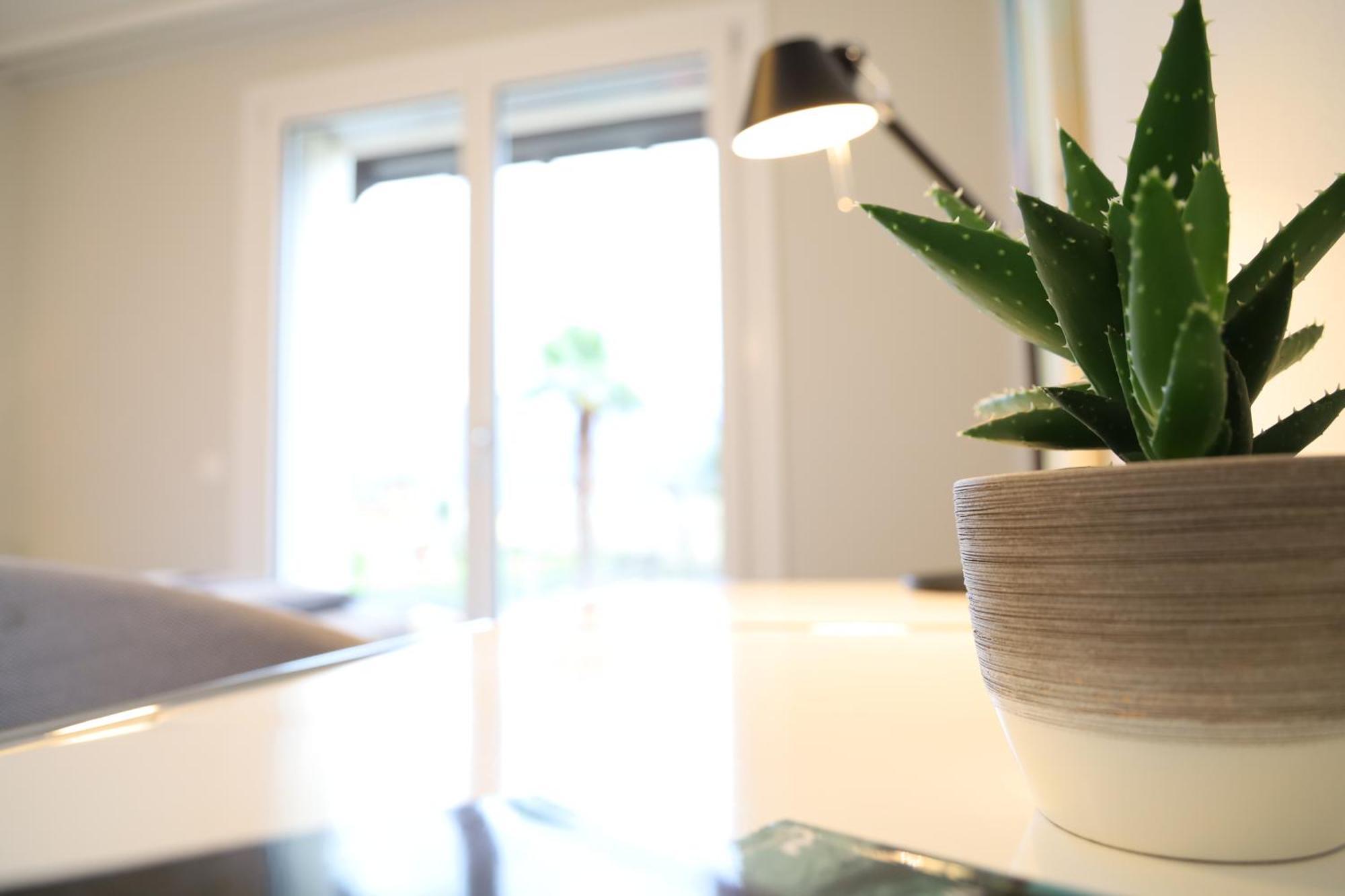 Casa Quattro Fiumi Lägenhet Tegna Exteriör bild
